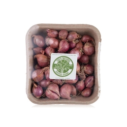 Organic shallots India  from SPINNEYS