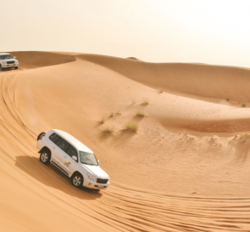 Desert Safari Dubai Shared Transfer from LAMA TOURS