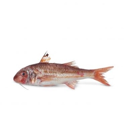 Wild Red Mullet Fresh  from FRESH EXPRESS