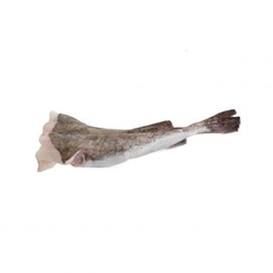 Monk Fish Tail from FRESH EXPRESS