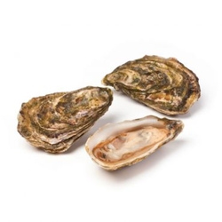 Organic Oysters from FRESH EXPRESS