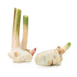 Galangal  from FRESH EXPRESS