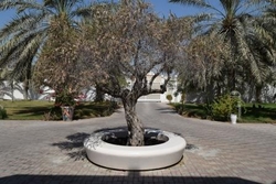Precast Concrete Tree Grater Supplier in Al Ain