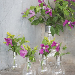 Geantbulb Edison Vase from EVERSTYLE TRADING LLC