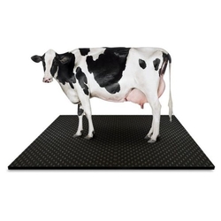 Cow Mats - Bubble from MOULDTECH  INDUSTRIES