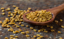 Fenugreek from INDIAN AGRICULTURE MARKETING CO-OPERATIVE LIMITE