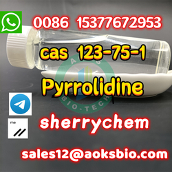 High Quality Cas 123-75-1 Pyrrolidine 99.5%min In Stock With Fast Delivery