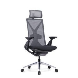 Adjustable  Ergonomic Chair from OFFICE MASTER