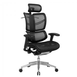Full Mesh Ergonomic Chair from OFFICE MASTER
