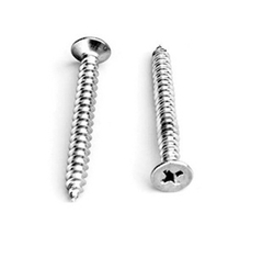 SS SCREWS from ALIF TOOLS & HARDWARE TRADING