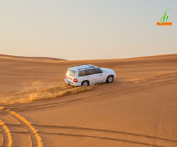  Best Deals Available On Desert Safari Tours from FOREVER TOURISM