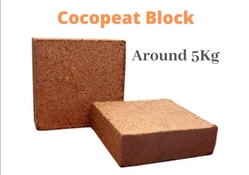 COCOPEAT BLOCKS