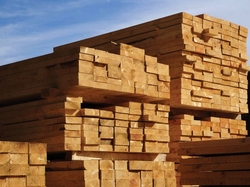 LUMBER from ZOOM BUILDING MATERIALS TRADING