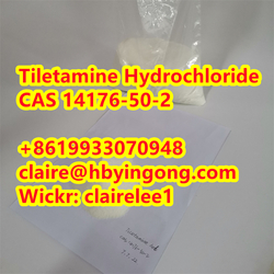 High Quality Tiletamine Hydrochloride CAS 14176-50-2  from HEBEI YINGONG NEW MATERIAL TECHNOLOGY CO.,LTD.