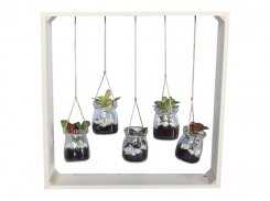 Plants in Hanging Glass Jars  from DUBAI GARDEN CENTRE
