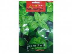 Green Basil Seeds from DUBAI GARDEN CENTRE