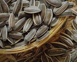 Sunflower Seeds from AL SAQR TRADING