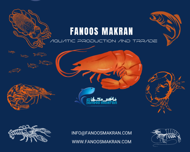 Fanoos Makran