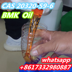 20320-59-6 Bmk oil Bmk powder Diethyl(phenylacetyl)malonate CAS NO.20320-59-6 from HEBEI WEGO IMPORT AND EXPORT TRADE CO. LTD