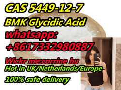 FACTORY SELL CAS 5449-12-7 BMK GLYCIDIC ACID SODIUM SALT WITH SAFE SHIPMENT