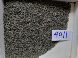 China extra chunmee green tea 4011 