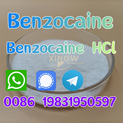 Pain killer benzocaine powder cas 94-09-7 benzocaine supplier in China from WUHAN XINOW INTERNATIONAL CO.,LTD.