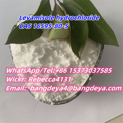 Leva---misole hydr--ochloride 16595-80-5 from BANGDEYA