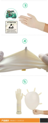 LATEX GLOVES from PIDEGREE GROUP