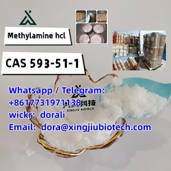 593-51-1 Methylamine Hydrochloride from XINGTAI XINGJIU NEW MATERIAL TECHNOLOGY CO., LTD