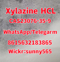 Xylazine hcl cas23076-35-9 crystals powder from JIANGSU BANGDEYA NEW MATERIAL TECHNOLOGY CO., LT