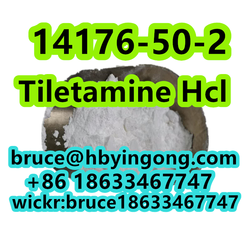  CAS 14176-50-2 Tiletamine Hcl Ketamine from HEBEI YINGONG NEW MATERIAL TECHNOLOGY CO., LTD.