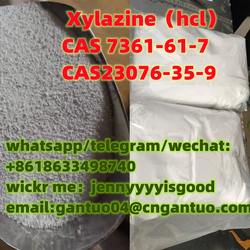 Good price and quality Xylazine（hcl） CAS 7361-61-7  CAS23076-35-9  from GANTUOBIO