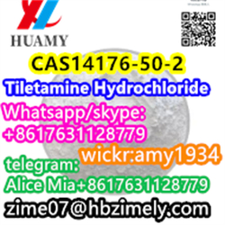  CAS14176-50-2     Tiletamine Hydrochloride factory supplier wickr:amy1934 whats/skype:+8617631128779 telegram:Alice Mia+8617631128779