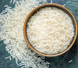 Rice