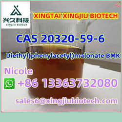 CAS 28578-16-7 High Purity Pmk Powder and Oil Yield 6285-05-8/103-81-1