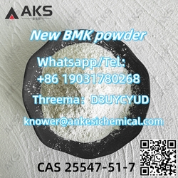 High quality best price BMK Glycidic Acid CAS 25547-51-7 AKS 