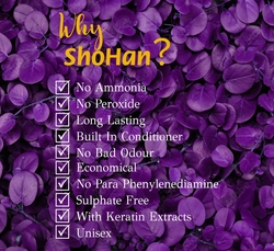 ShoHan Semi Permanent Hair Color