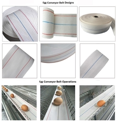 POULTRY FARMS EGG COLLECTION BELT 100MM