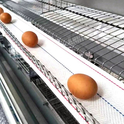 EGG COLLECTION BELT FOR LAYER CHICKEN CAGES 