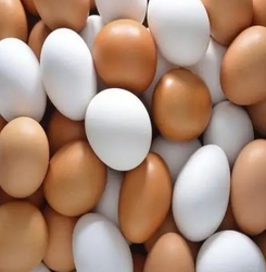 EGGS from INTERCONTINENTAL TRADING PTY LTD