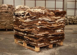 Wet salted Animal skin from INTERCONTINENTAL TRADING PTY LTD