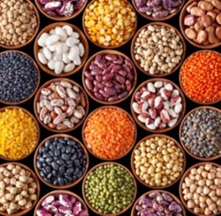 Beans and pulses from INTERCONTINENTAL TRADING PTY LTD