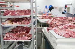 Frozen meat/Beef from INTERCONTINENTAL TRADING PTY LTD