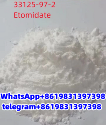 CAS 33125-97-2 Etomidate