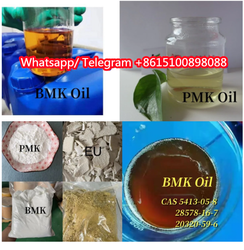 28578-16-7, PMK Powder/oil from SHANDONGDEKANGYOUXIANGONGSI