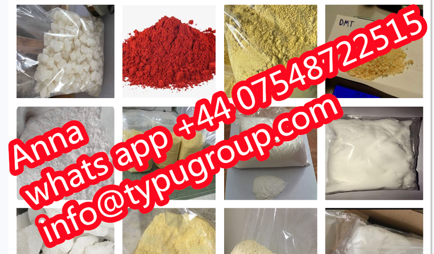 Typu Group Co.,Ltd.