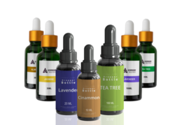 Pure and Organic Essential & Carrier Oils from ASHWANI LLC