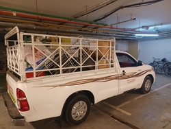 Pickup 1 Ton from TRANSPOTATION SOLUTION
