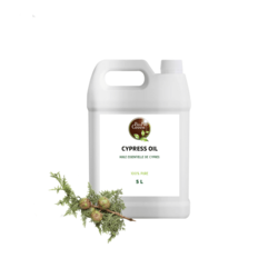 BioProGreen Bulk cypress oil : Wholesale Offers for Retailers from BIOPROGREEN