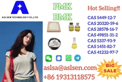 Hot Sale Organic and Inorganic Intermediate Species/Reaction BMK Glycidic Acid CAS 5449-12-7